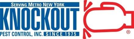 KO-Logo